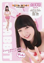 NMB48 Akari Yoshida Kei Jonishi Miyuki Watanabe Kaede Yagura Aya Yamamoto Kanako Muro [Jeune animal] 2014 No.17 Photographie